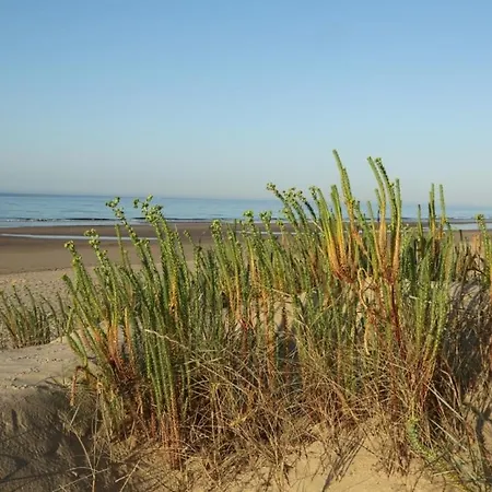Casa Da Retur-praia Do Cabeco-algarve-castro Marim קסטרו מארים
