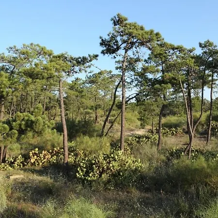 Casa Da Retur-praia Do Cabeco-algarve-castro Marim קסטרו מארים