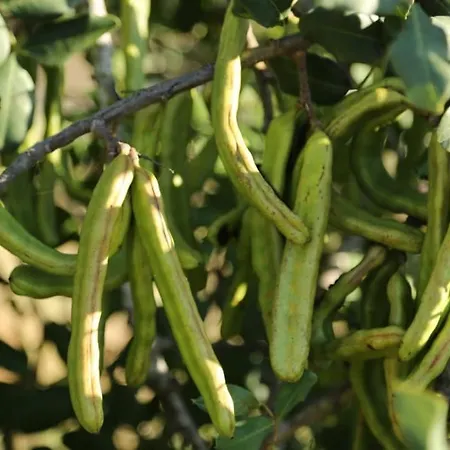 Casa Da Retur-praia Do Cabeco-algarve-castro Marim